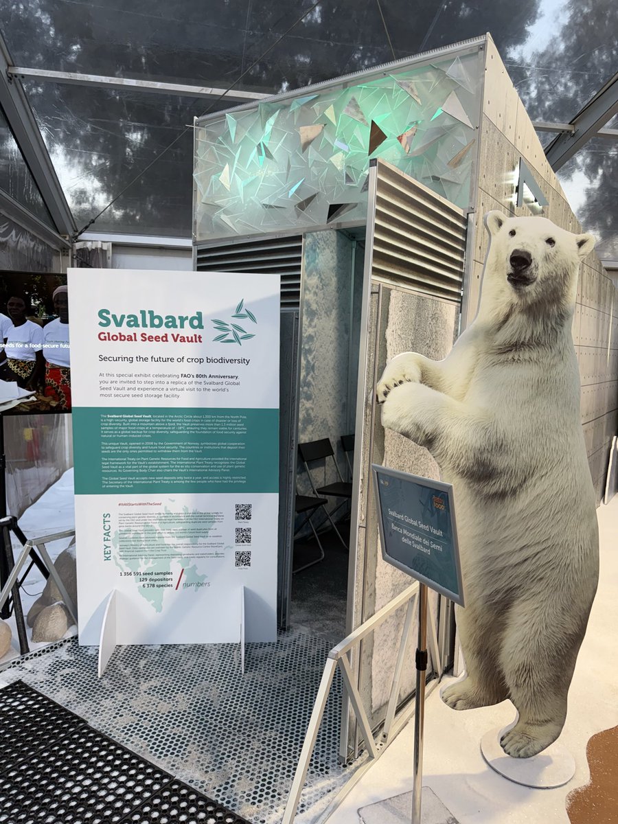FAOclimate's tweet photo. Discover the world’s most secure seed vault right here in Rome! 🧭

 🌱@FAO Exhibition: From #Seeds2Food 

🏛️TODAY at Parco di Porta Capena explore a model of #Svalbard Global Seed Vault. 

🥽Take a virtual tour, enter &amp; learn how we preserve seeds for the future 

Free entry 👇 https://t.co/YE74IgCEsv