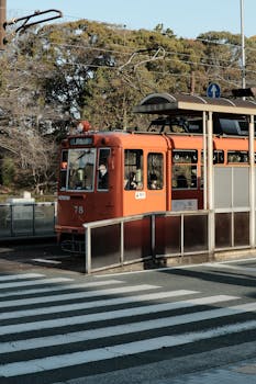 写真撮りまくりたい📷