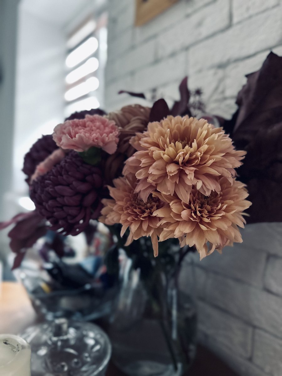 Кішка Шредінгера tweet media