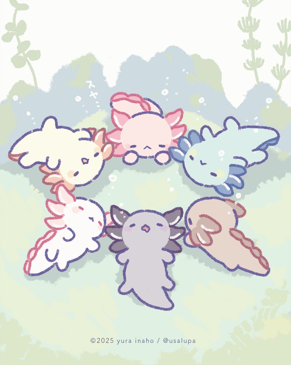 usalupa's tweet image. スヤ…