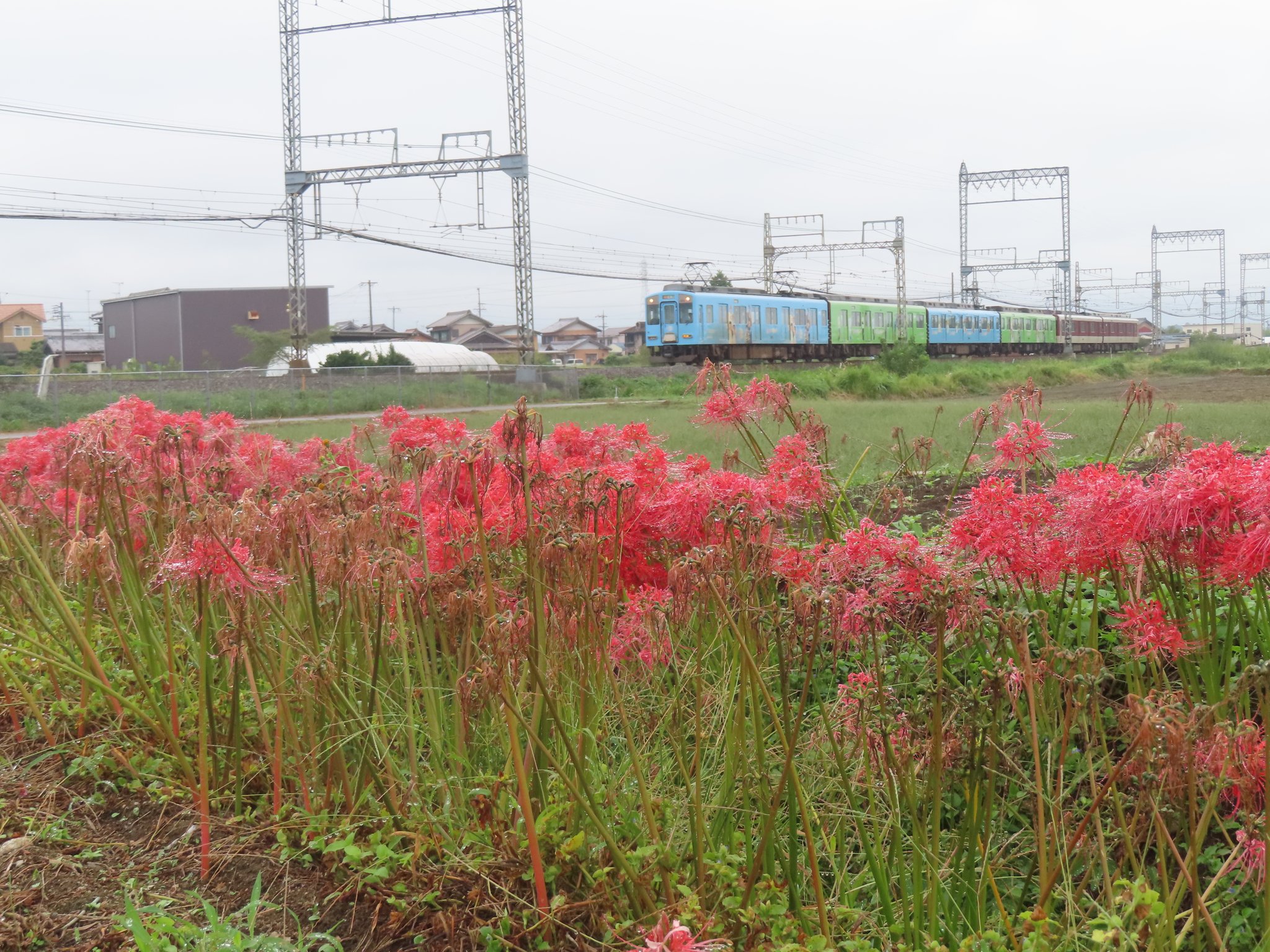 まちなかさま　2枚⭐︎ のぞみ (@LPcNQw8tJ5qAJRE) / X