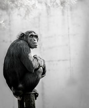 風景きれいで癒される