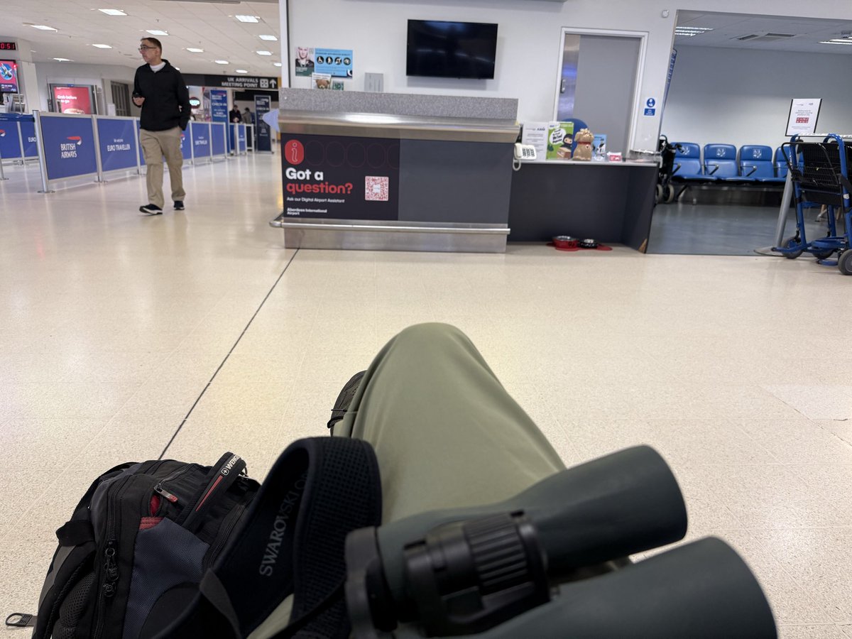 Stefan McElwee tweet media