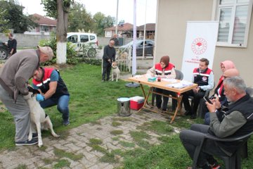 First image shows outdoor scene with people in red vests handling a dog near a table with supplies and Turkish flag banner. Second image depicts indoor office setting with man in vest wearing gloves assisting woman in headscarf at desk with documents and Turkish flag basket. Third image features men in vests examining a dog outdoors near fence and trees. Fourth image illustrates woman and another in headscarf with gloves vaccinating small dog on table in room with posters of animals.