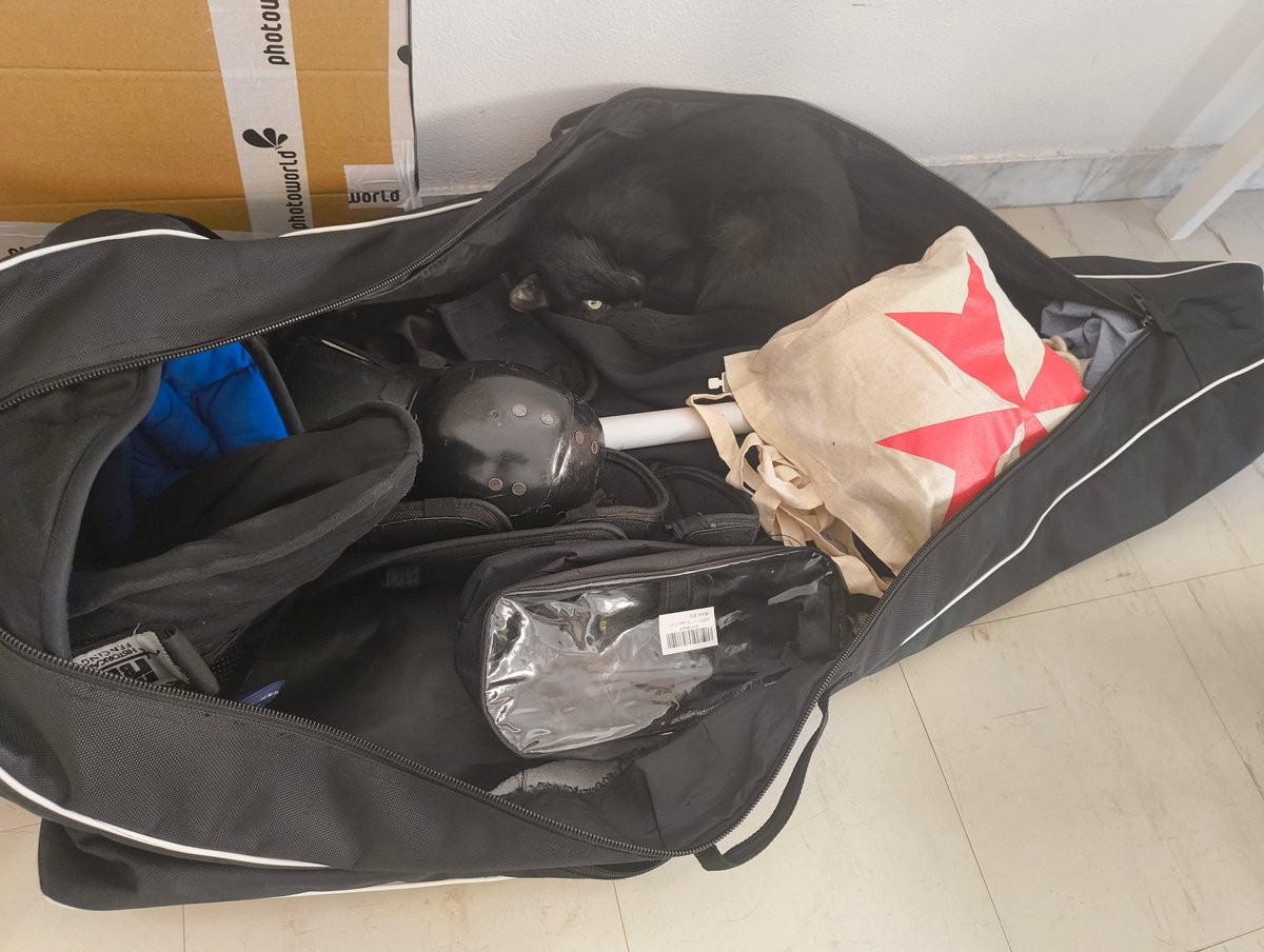 Lilah_mir's tweet image. I've bene away for some time
#hema #historicalfencing #rapier 🥉