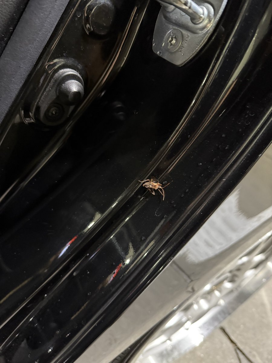 死んでたけどいた