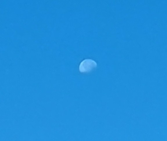 Luna del mattino