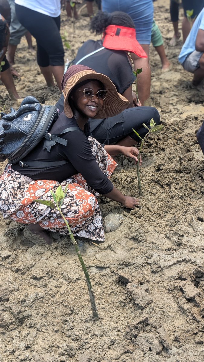 We joined <a href="/Cwid4Cwid/">Collaboration of Women In Development - CWID</a> and <a href="/BigShip_CBO/">Big Ship CBO</a>.  in Mikindani to commemorate Mazingira Day by planting mangroves.We reaffirmed our commitment to the 2032 goal of planting 15 billion trees and achieving 30% forest cover to protect our ecosystem.#MazingiraDay ! 🌿
#AFazenda <a href="/AkiliDada/">Akili Dada</a>