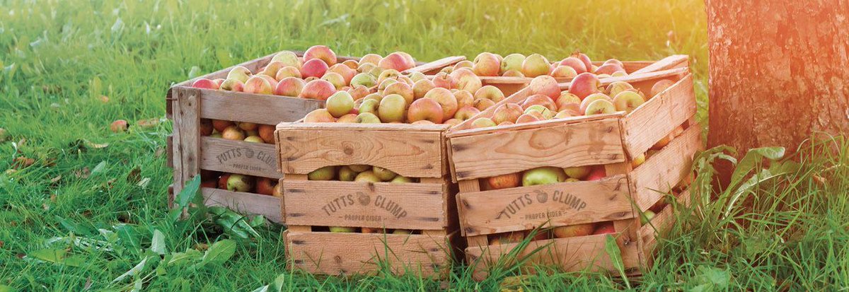 Bizitalk's tweet image. @tuttsclumpcider have been making award-winning #Cider with 100% juice from Real Fruit since 2006. Find your closest Tutts Clump Cider stockist, or buy direct from their online store! Cheers!🍎🍻
#bizitalk
tuttsclumpcider.co.uk
Show Less