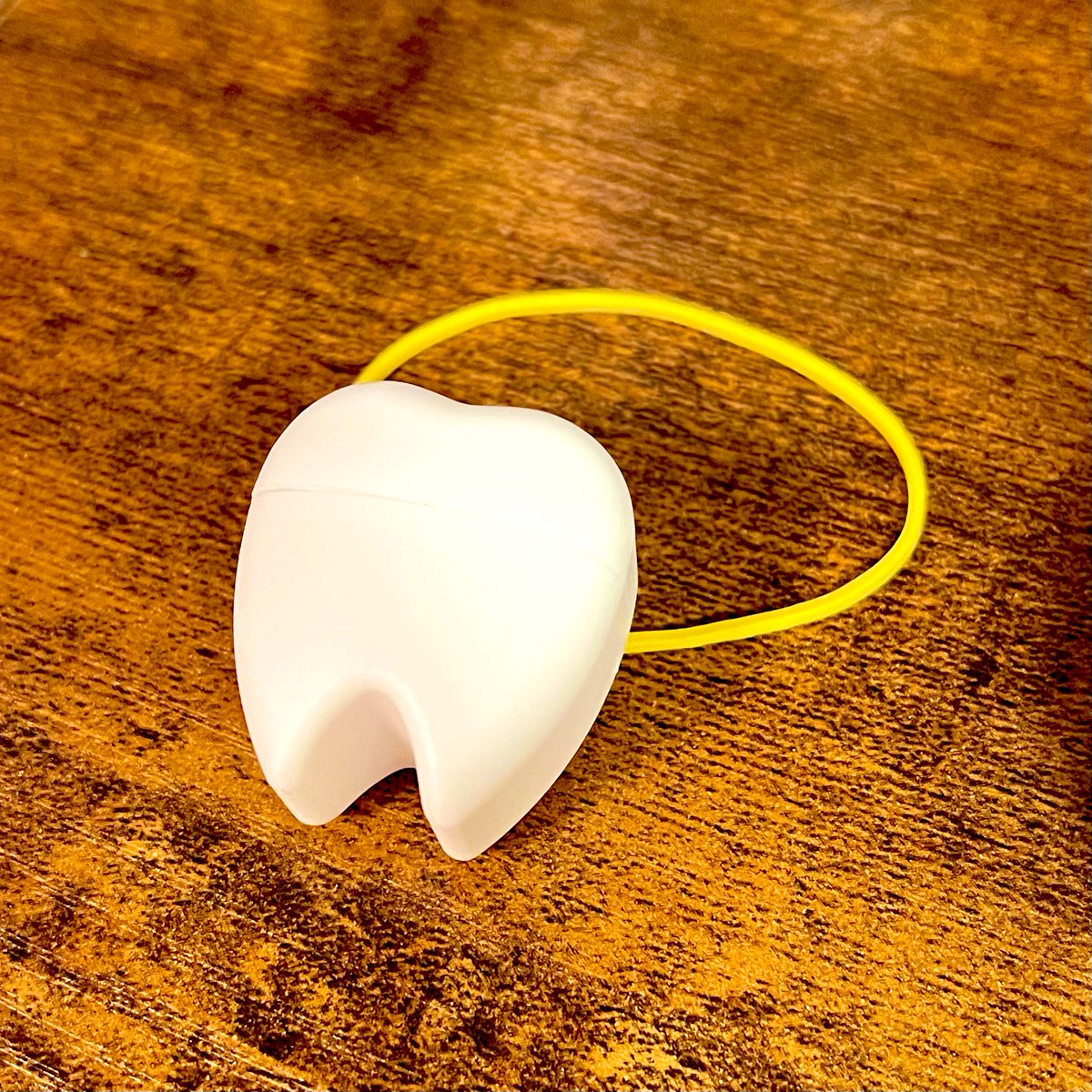抜歯へ行き、でけえ歯と一緒に帰宅