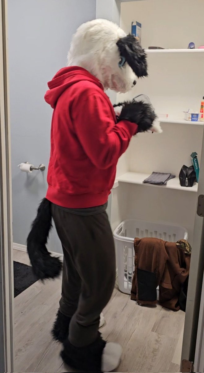 I FINALLY GET TO BE A DUMB DOGGGG. Yes, it's from spirit halloween, but it's all I can afford until I save enough to commission my real one.  Makes for a good halloween costumes, too. XD #FursuitFriday #furry #fursuit #spirithalloween #Halloween