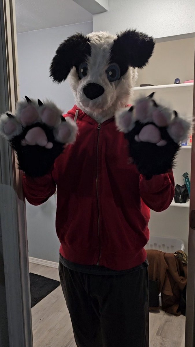 BlueWolfLuca's tweet photo. I FINALLY GET TO BE A DUMB DOGGGG. Yes, it's from spirit halloween, but it's all I can afford until I save enough to commission my real one.  Makes for a good halloween costumes, too. XD #FursuitFriday #furry #fursuit #spirithalloween #Halloween https://t.co/XFzrUkhzxL