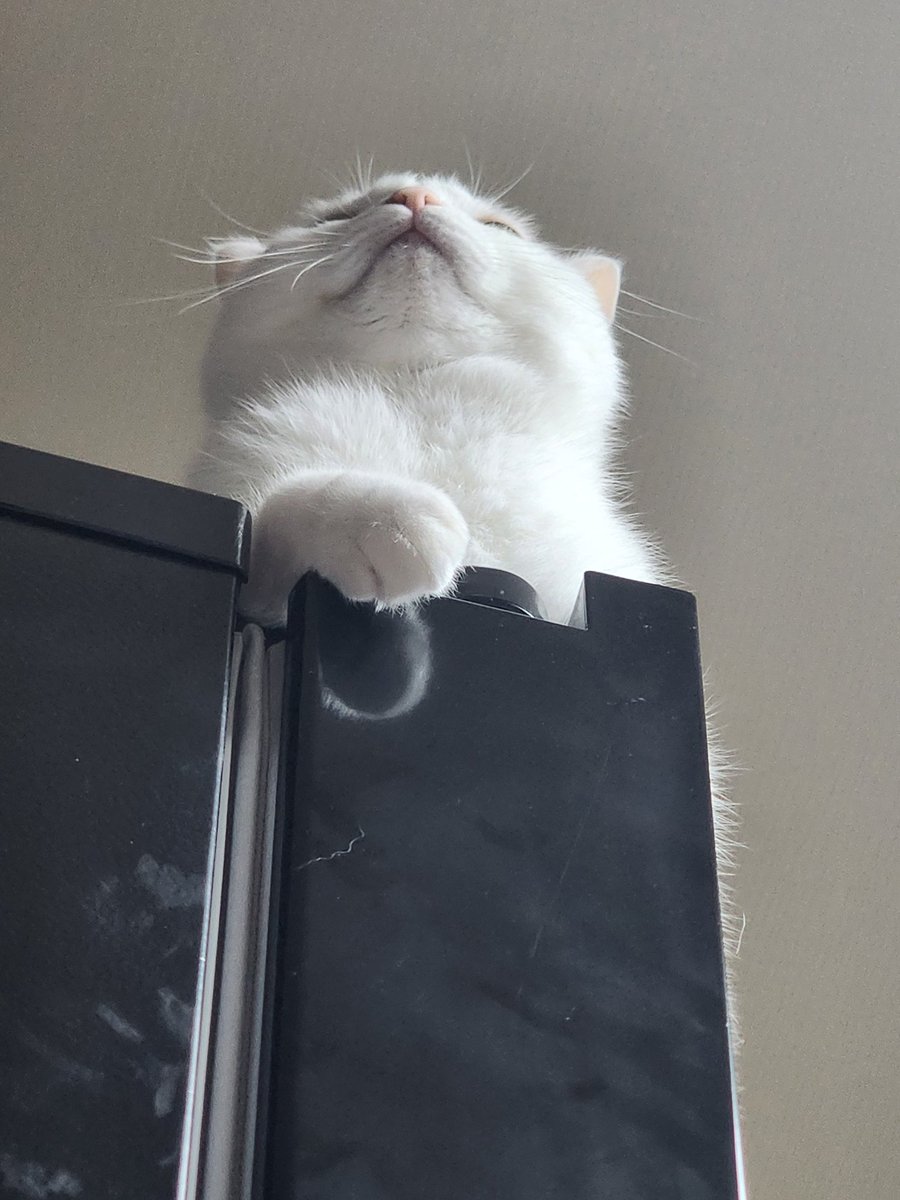 정신이 들었는가 닝겐