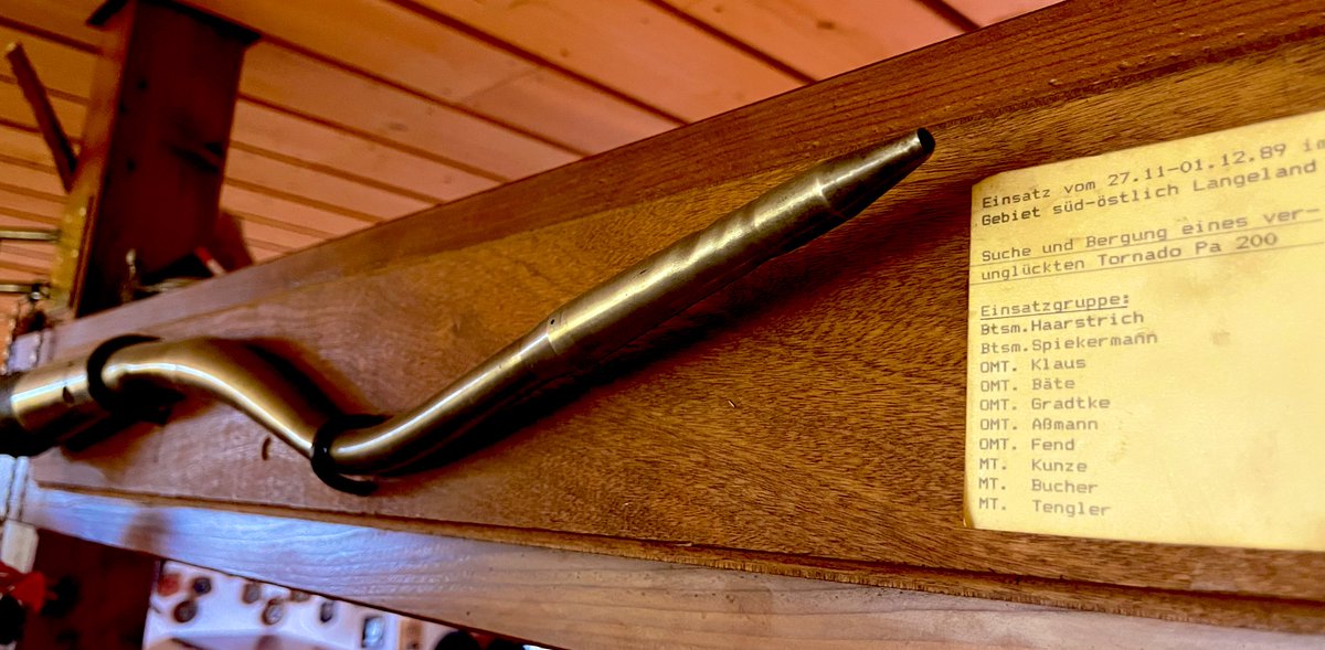 Grünfink tweet media