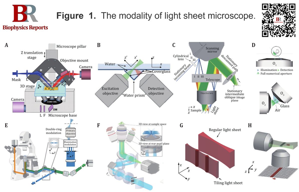 📢 Congratulations to Peng Fei on their review "Technological innovations and high-throughput applications of light-sheet microscopy" published in Biophysics Reports (Online First).
🔗 doi.org/10.52601/bpr.2…
#LSFM #Highthroughput #SampleCompatibility
