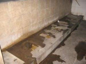 Pseudo_Prophet_'s tweet image. Toilets are Filthy.
