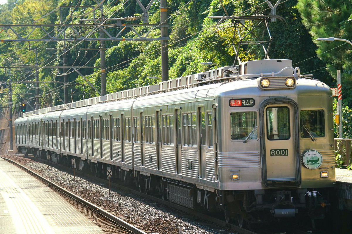 stationmasterb1's tweet photo. 南海6000系を撮影してきました📸
運良く、復刻ステンレス無塗装編成が高野線の優等運用に就いてました。

デビュー６３年を迎える古豪🚊

１番撮りたかった運用に入ったので、「各停」・「急行」・「快急」と効率良く撮影できました📸

#南海電鉄
#高野線
#6000系
#古豪
#ステンレス無塗装 https://t.co/ZWx1RvTWt0