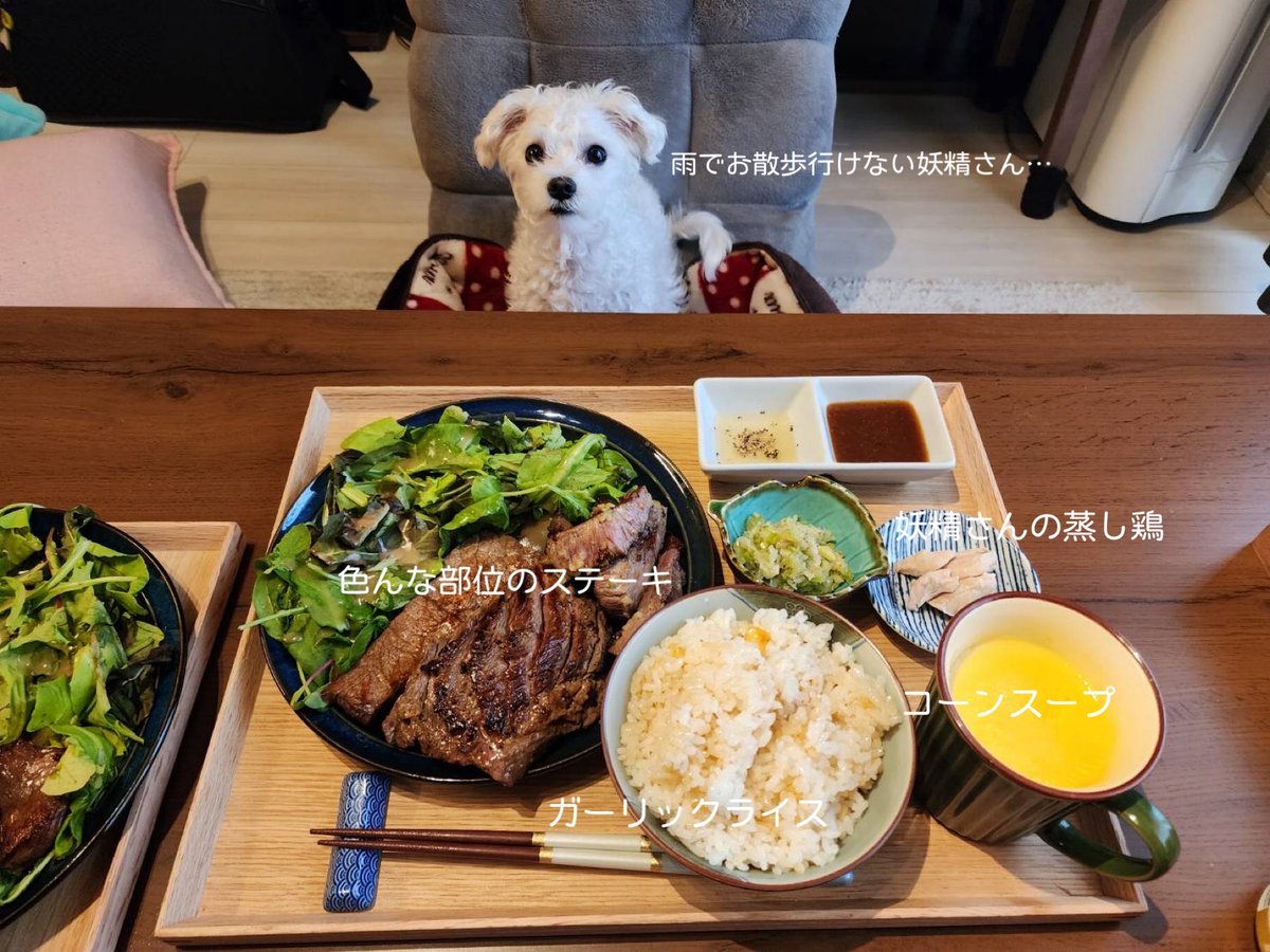 skuuuuuuuuuu's tweet image. ライオンさんかわいい泣
ダイエットスープもかわいくて涙出る、我々もやらねば…
#dogs #cooking #doglover