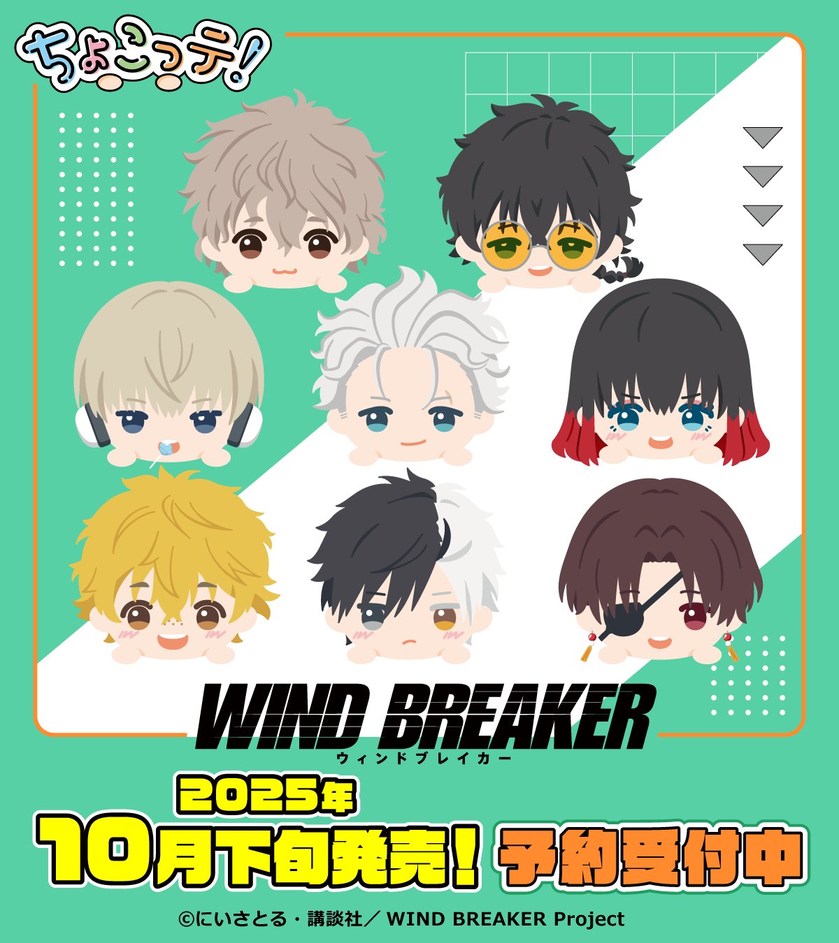 WIND BREAKER ウィンドブレイカー グッズセット 5種 各2点 WIND BREAKER ウィンドブレイカー グッズセット 5種 各2点 WIND