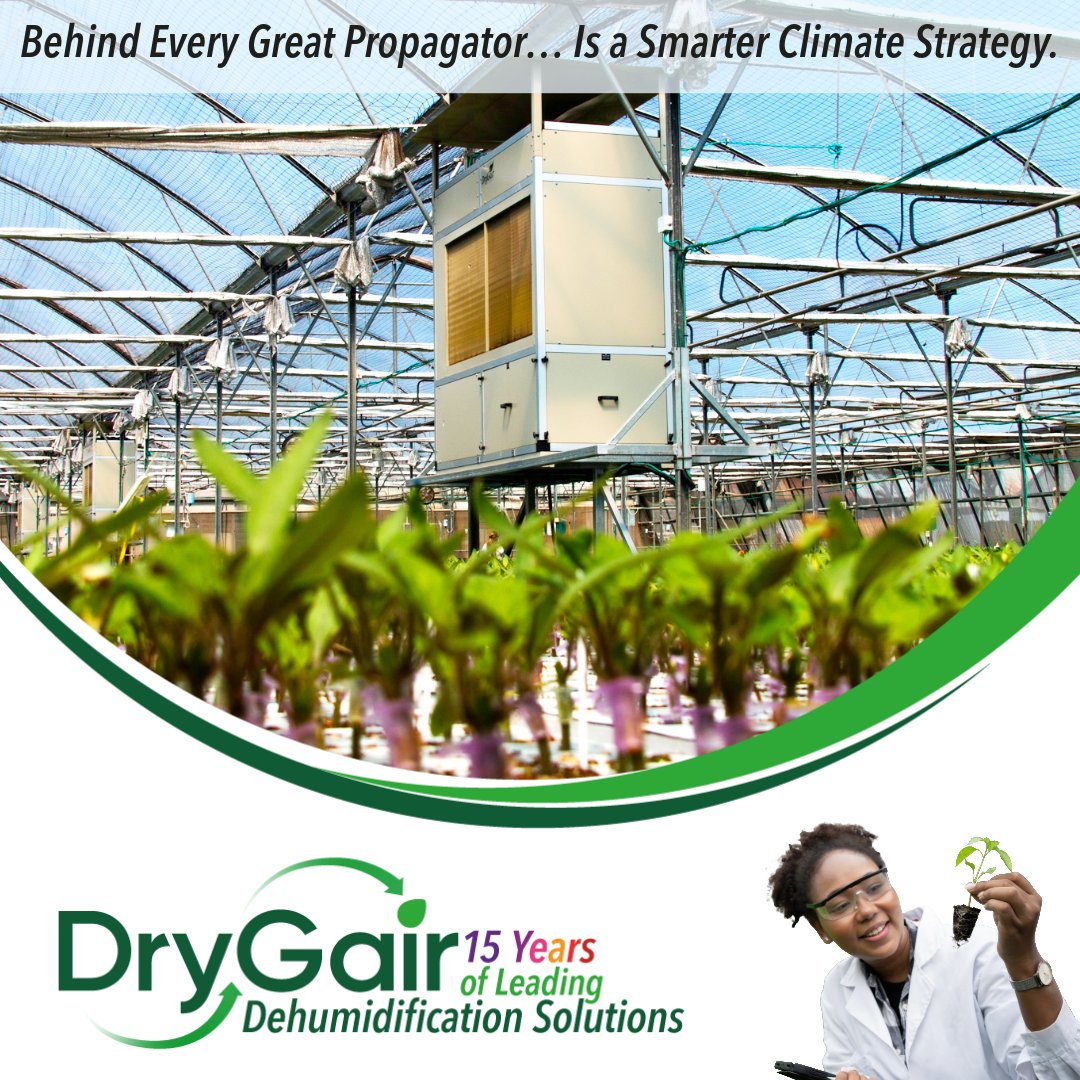 DryGairEnergies's tweet image. Predictable batches = predictable business.
Behind Every Great Propagator… Is a Smarter Climate Strategy.
#HumidityControl #CEA #Nursery