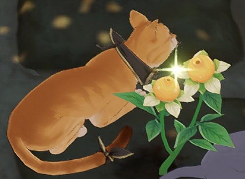 timelypouncelot's tweet image. On today&apos;s contribution to society, I present to you #ME and @BestSweetFlower