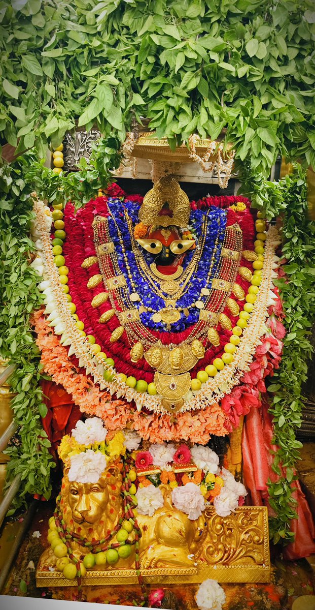 maavindhyasini's tweet image. राजश्री आरती दर्शन 🙏🏻🚩🙇🏼‍♀️