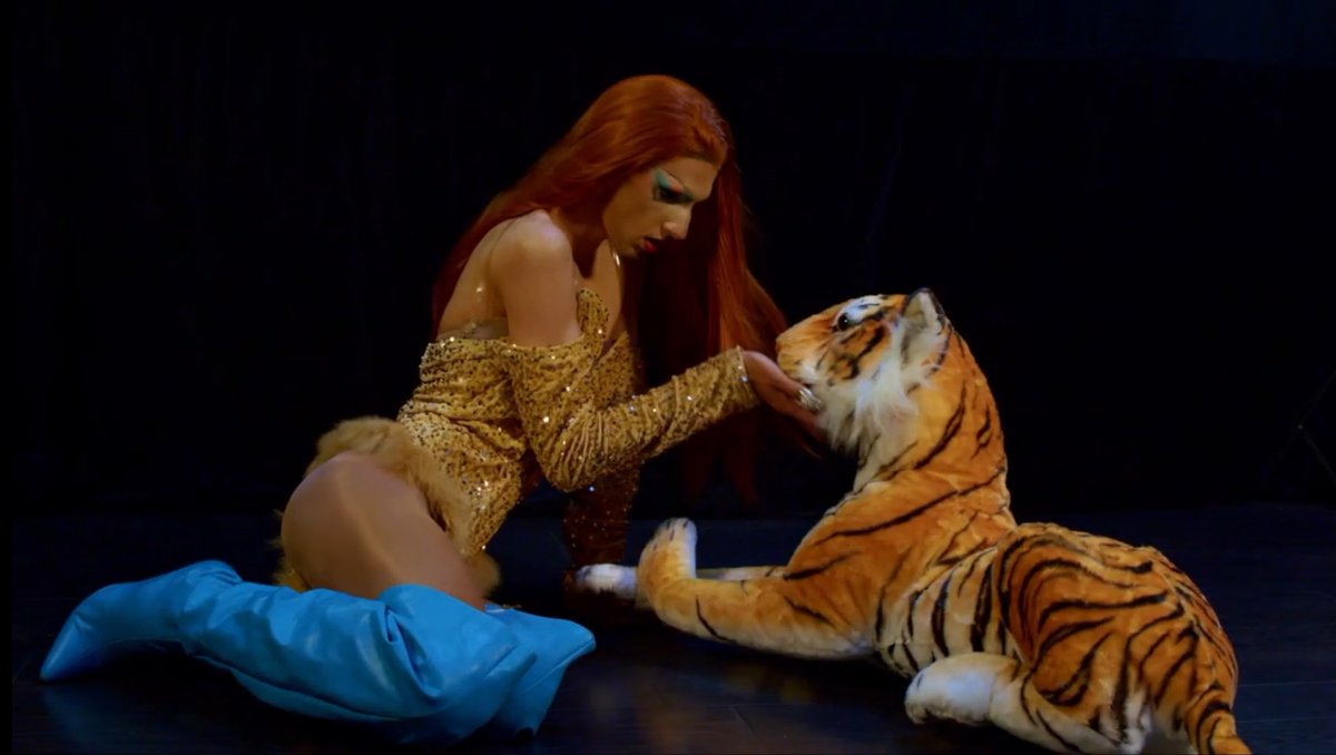 El Single de Tigre cumple 1 año ! 🎁🧡🌟💎‼️ youtu.be/-bzyFPW9EA8?si… que mejor que ser tú misma. Se hada,se sirena de tigresa se quien quieras ser se tu sin ser parte del rebaño de ovejas ! 💋
#videoclip #estreno #setumisma #tigre #artistamusical