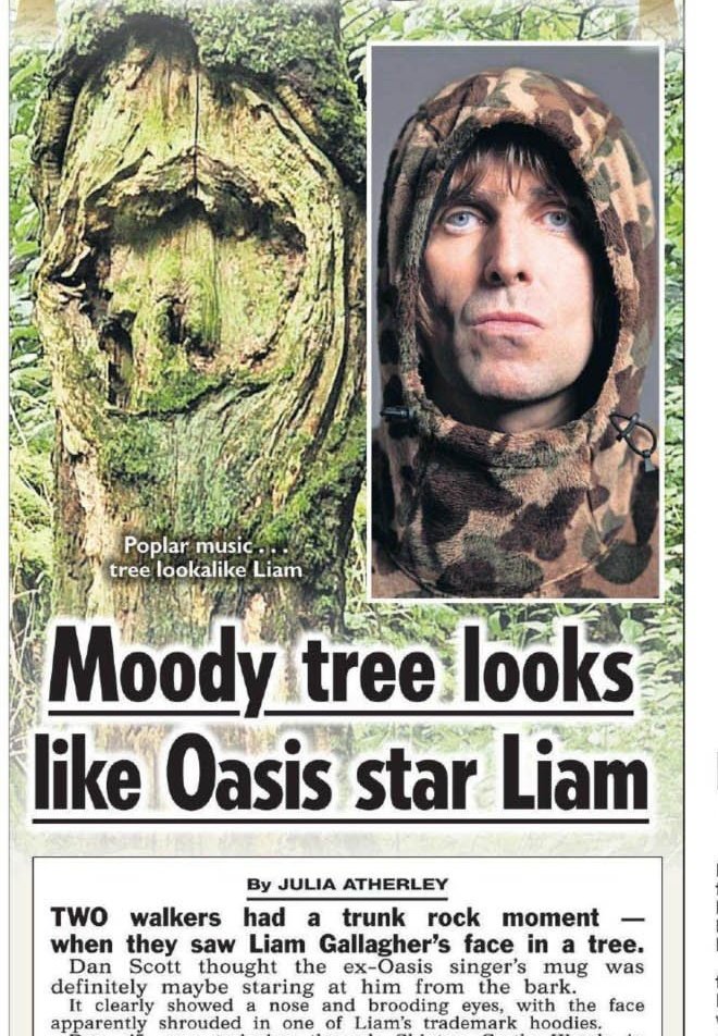 liampurrs's tweet image. was it really necessary to put this in the newspaper? 😭