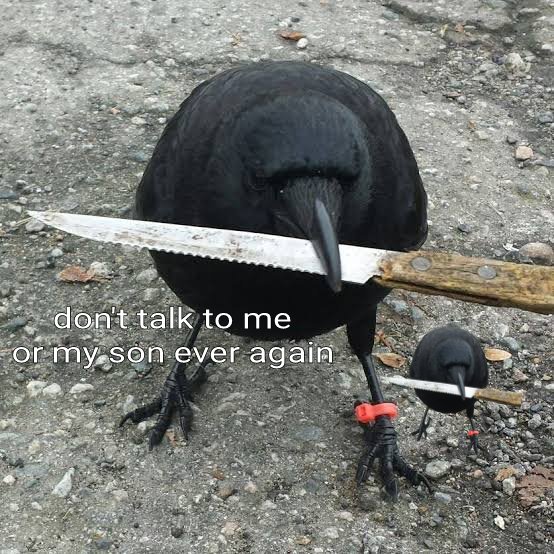 fuck yeah tell em dad