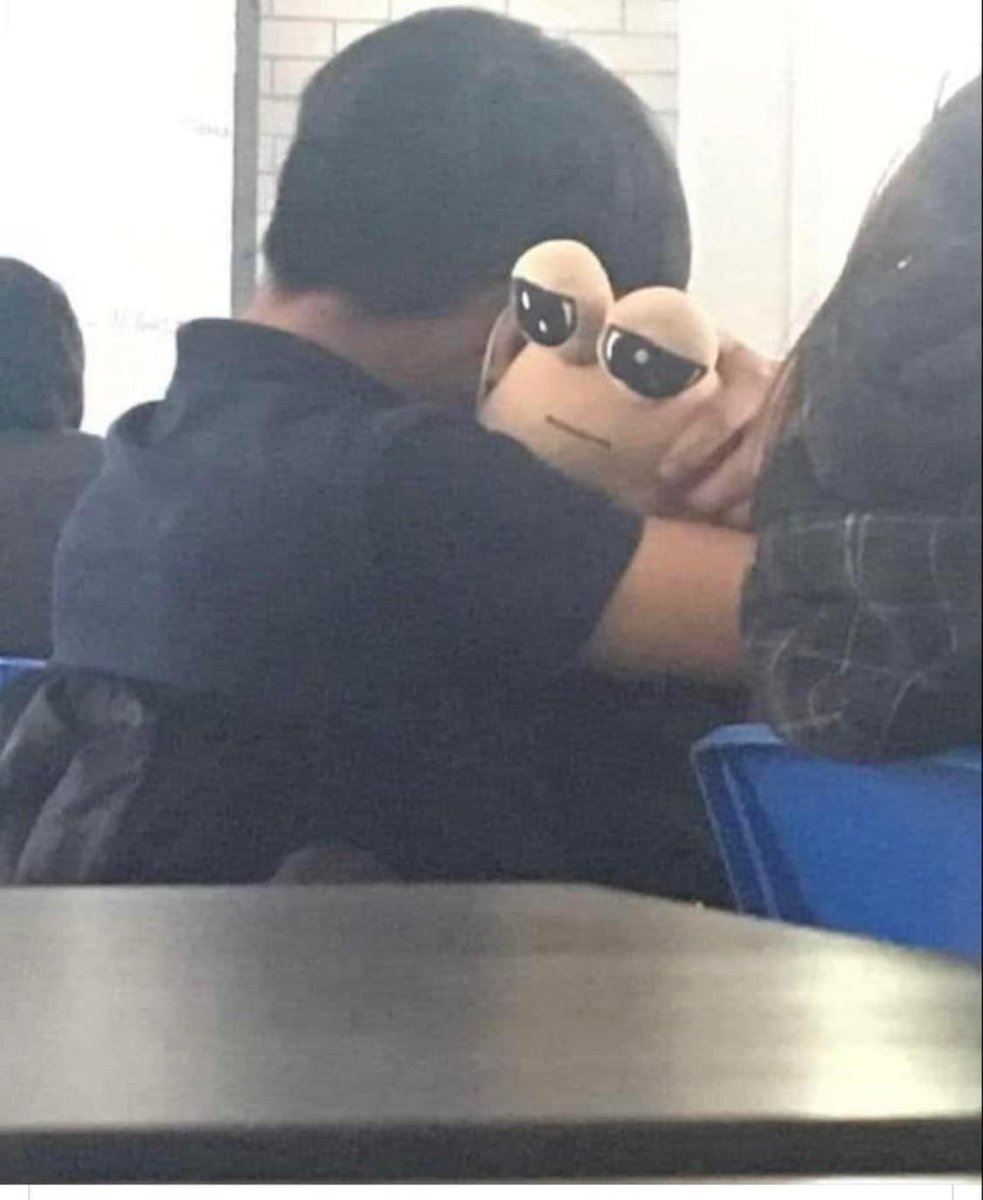 meme.jpg tweet media