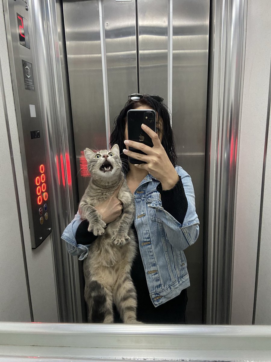 dün mülteci evden kaçmıştı yakaladım apartmanda eve çıkarırken kopardığı yaygaraya bakın işkence ediyorum sanki amk