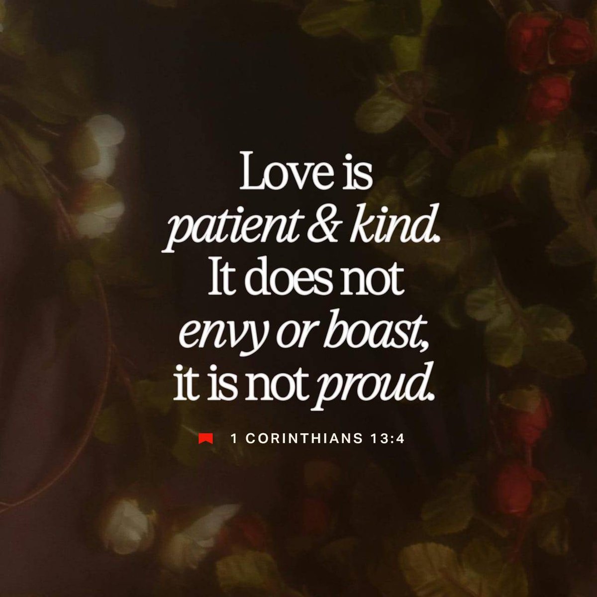 bible.com/verse-of-the-d…