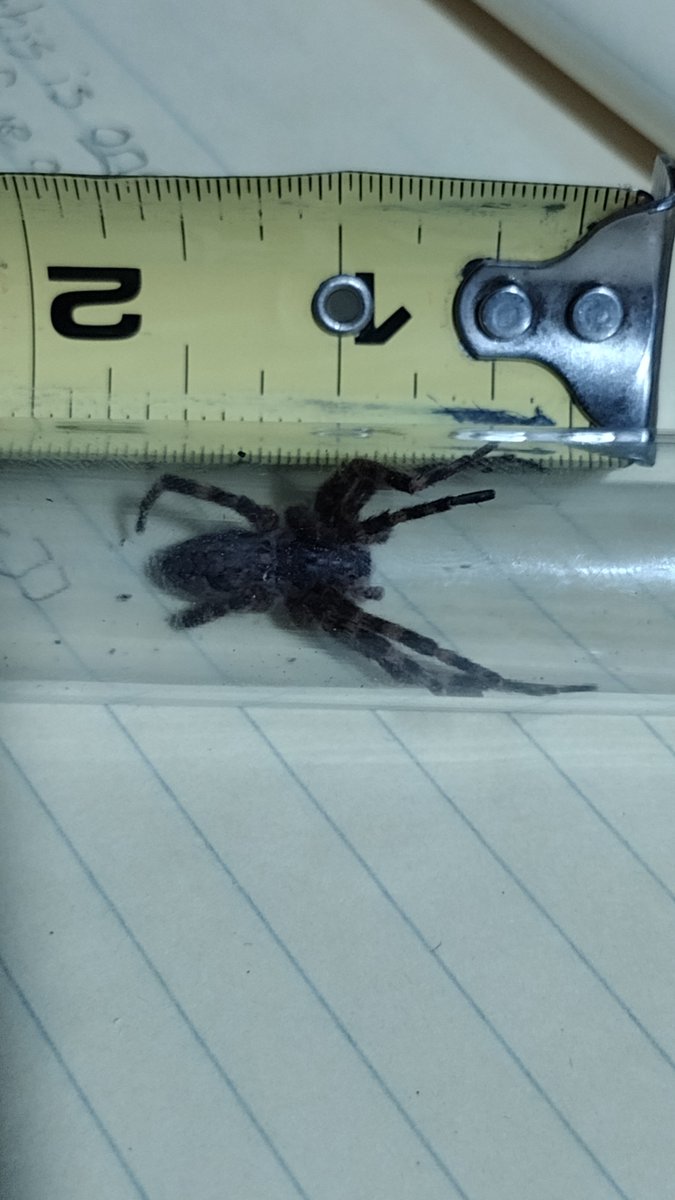 Norman Reed 🇺🇸 tweet media