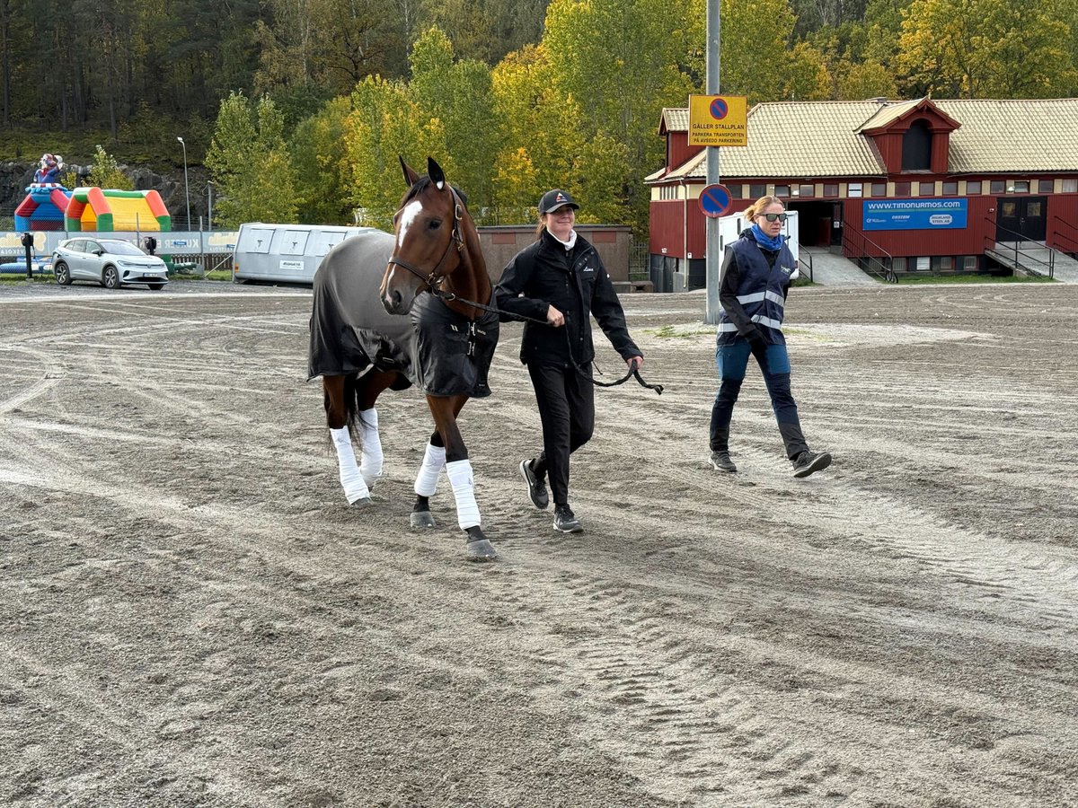 BILDSPEL. I kulisserna på Solvalla – Travronden är på plats på stallbacken när det stundar superlördag på Solvalla.

travronden.se/travsport/trav…