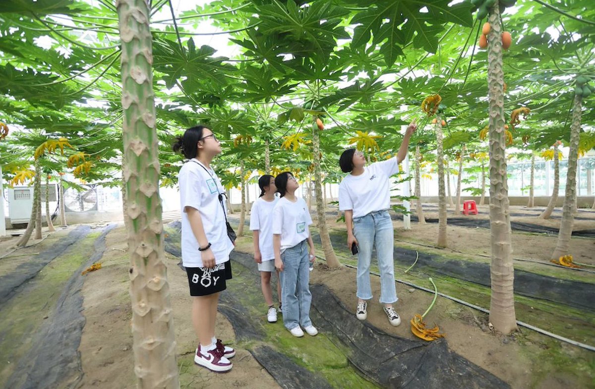 UNDPChina's tweet image. "The girl I am, the change I lead."
On today's International #DayOfTheGirl, learn how @UNDP🇨🇳's youth program Her Digital Future has worked to promote digital literacy in girls across China, opening and enabling pathways into futures in STEM➡️shorturl.at/IYXlN