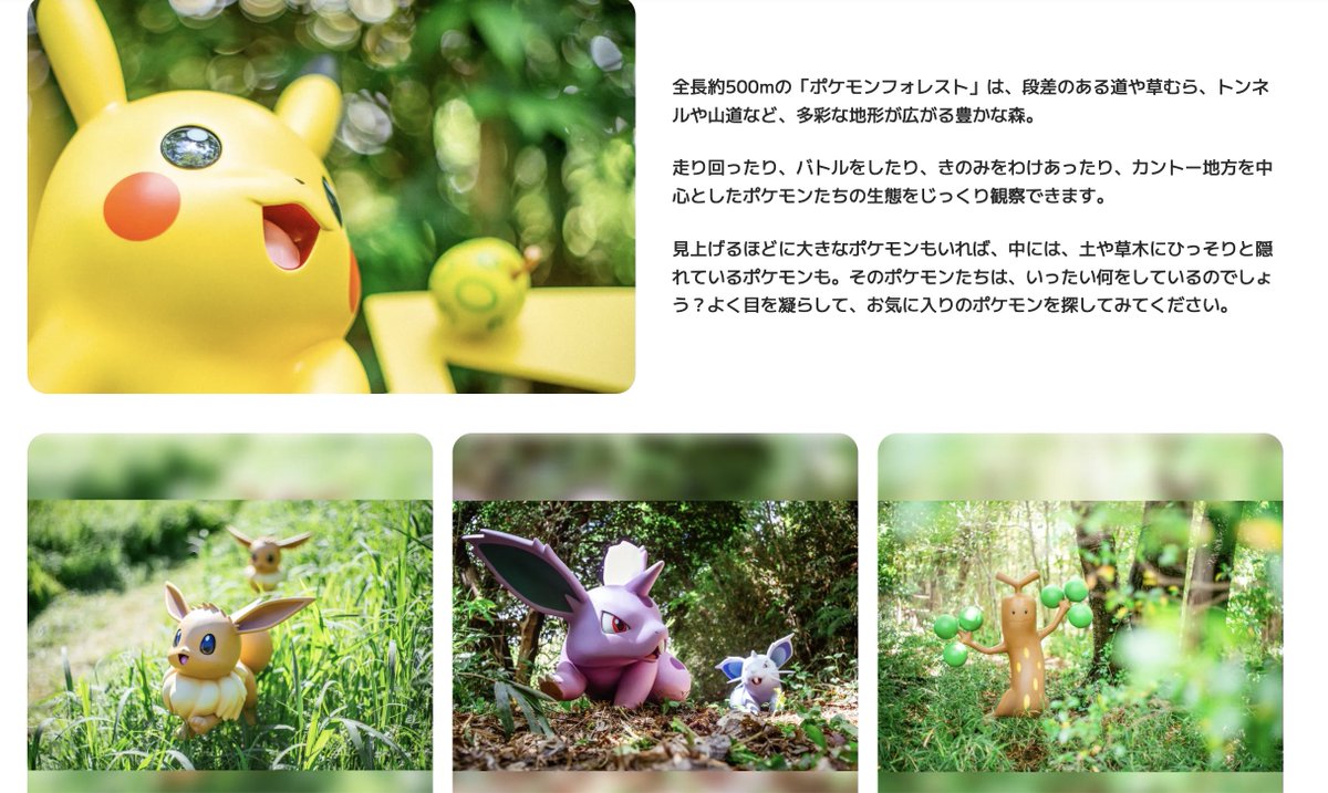 Halohalo|旅行レジャー情報 tweet media