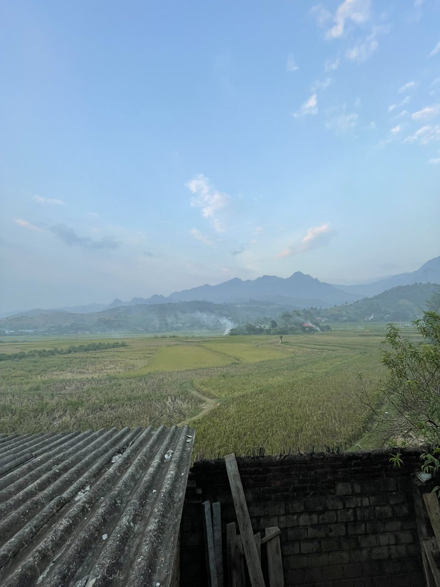 Bé Mỡ Cute tweet media