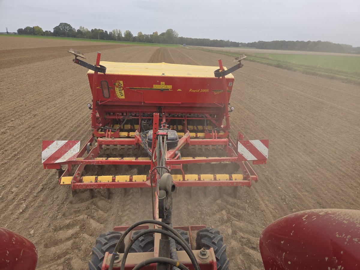 La saison des amours entre les semoirs et la terre a débuté. Dans 9 mois la moisson . 
Les agronomes de salon en PLS, ici c'est une parcelle de multiplication d'orge d'hiver hybride 😎
#FrAgTw
