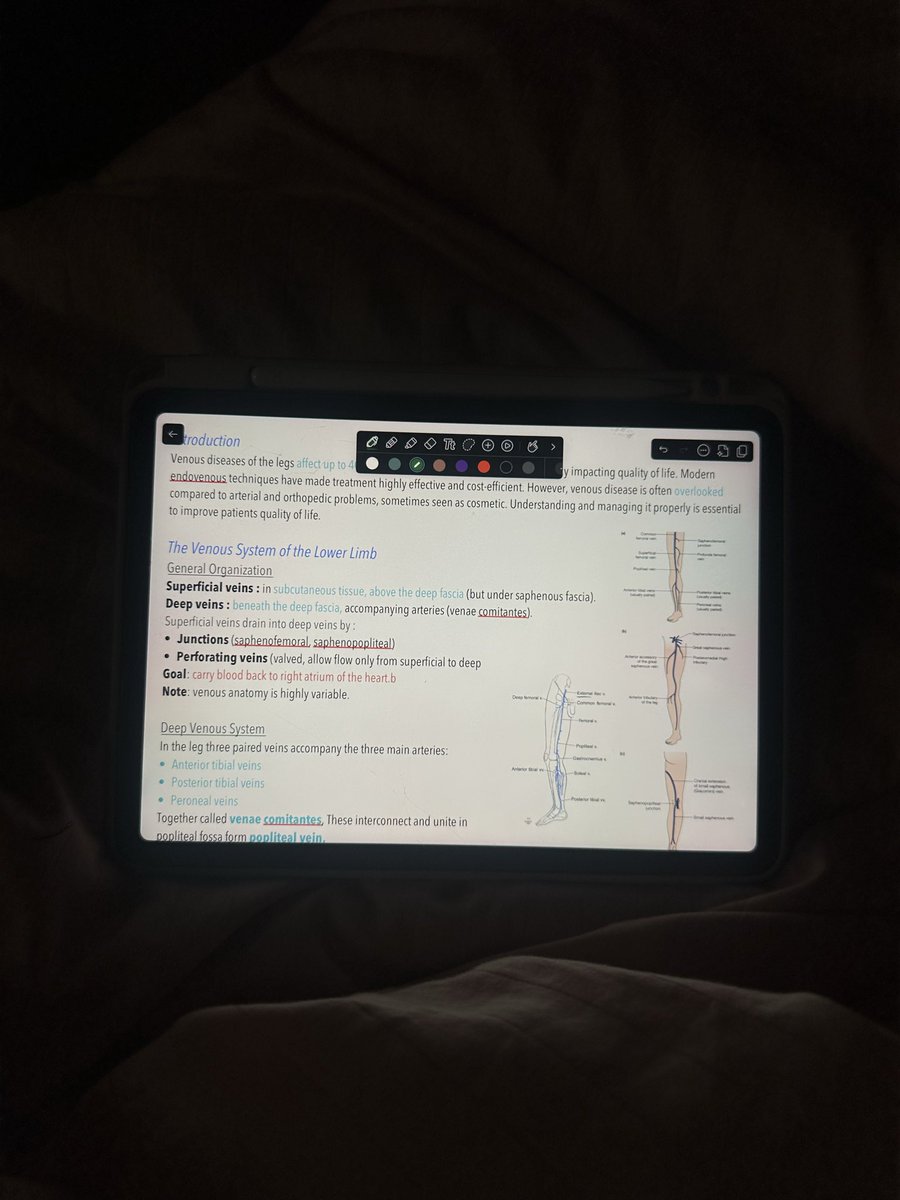 sovxco's tweet image. اكبر استثمار ممكن تسويه لنفسك ك طالب طب هي الملخصات ✨