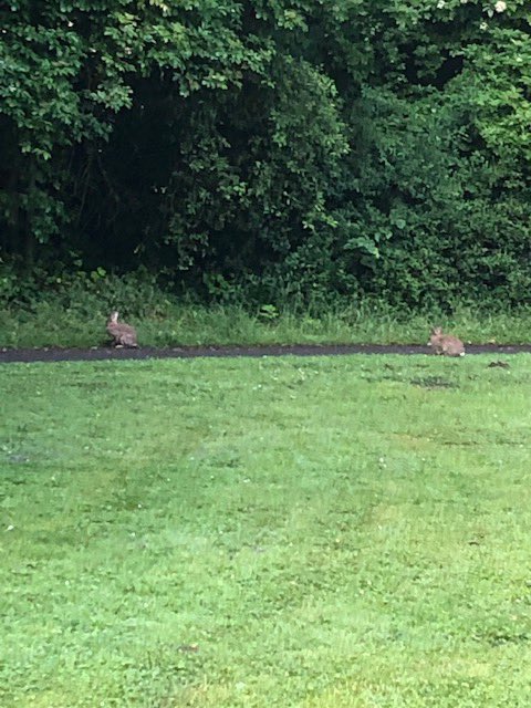 Op werkbezoek in Spaarnwoude Park.