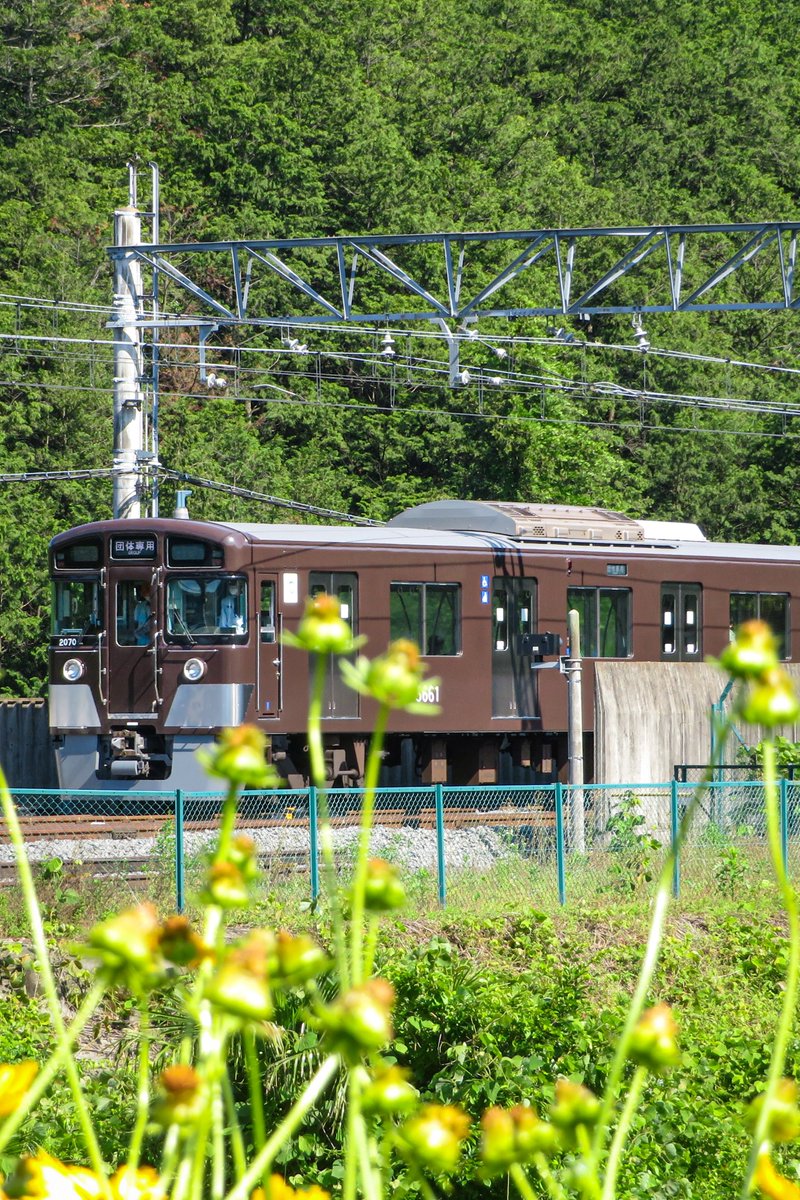あと5日ですか…