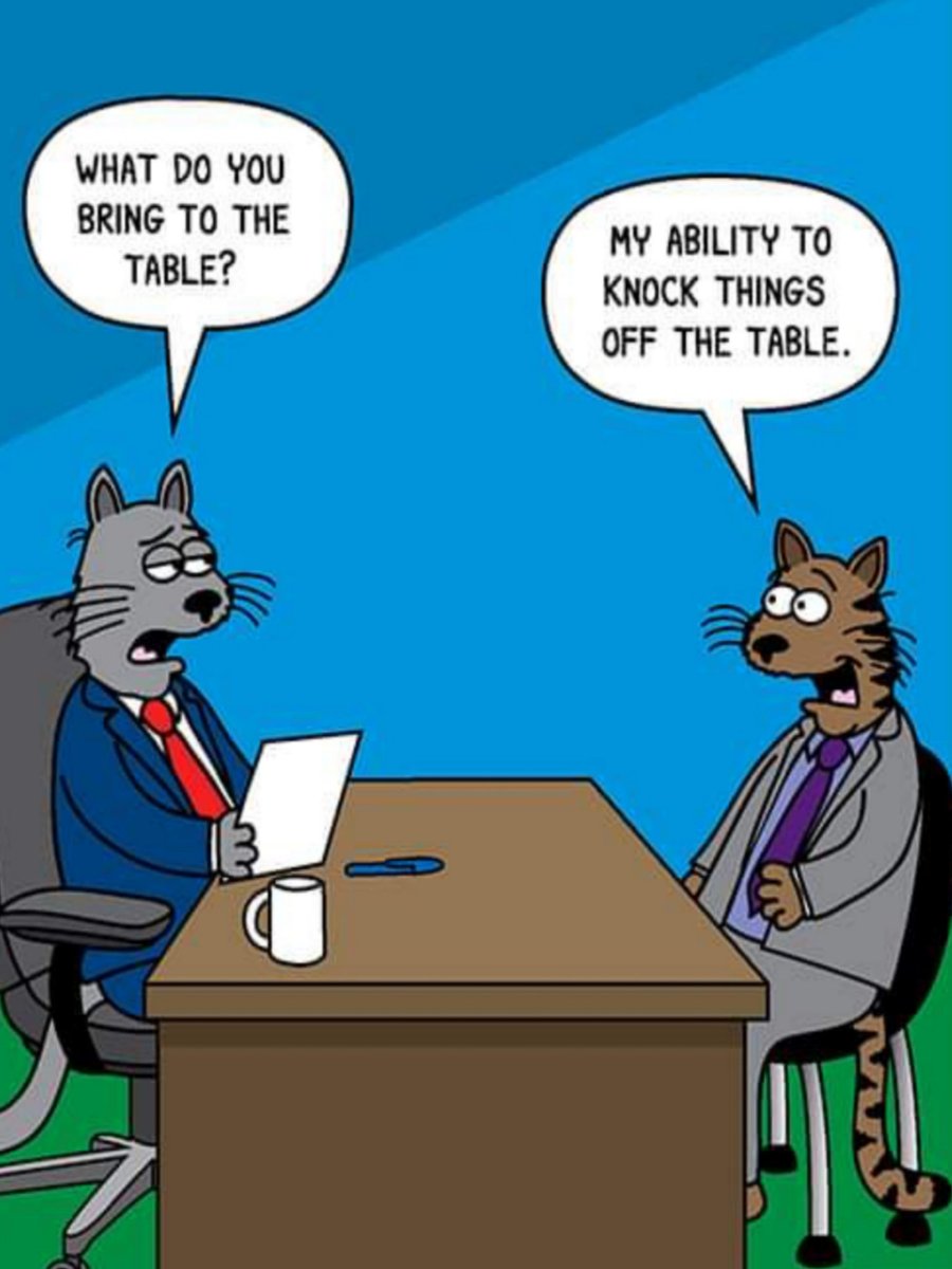 It's time for Pinky and Olly's corny jokes #Caturday BOGOF.

 A big thank you to our friend Lou for sending this one to us.
Pinky and Olly will be back tomorrow. 

#RIPJanet 💜💜💜
#PinkyAndOlly 

❤️❤️❤️🌽🌽🌽❤️❤️❤️