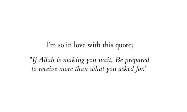 umemaryam041's tweet image. 