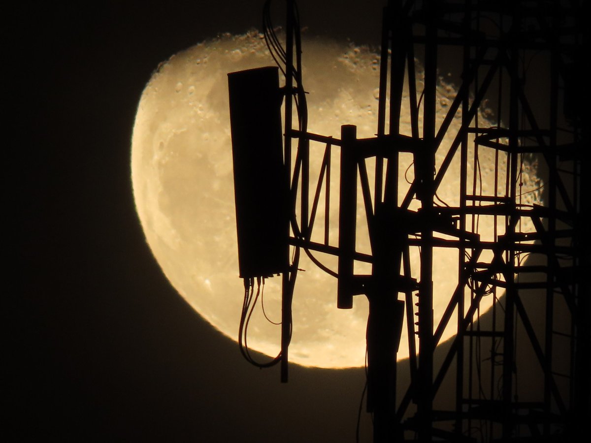 Isidro Nando Pestana tweet media