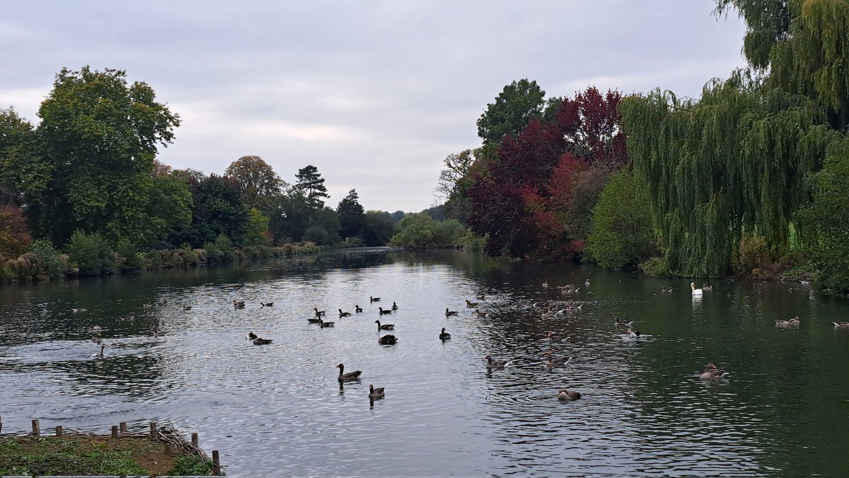 David Oliver tweet media