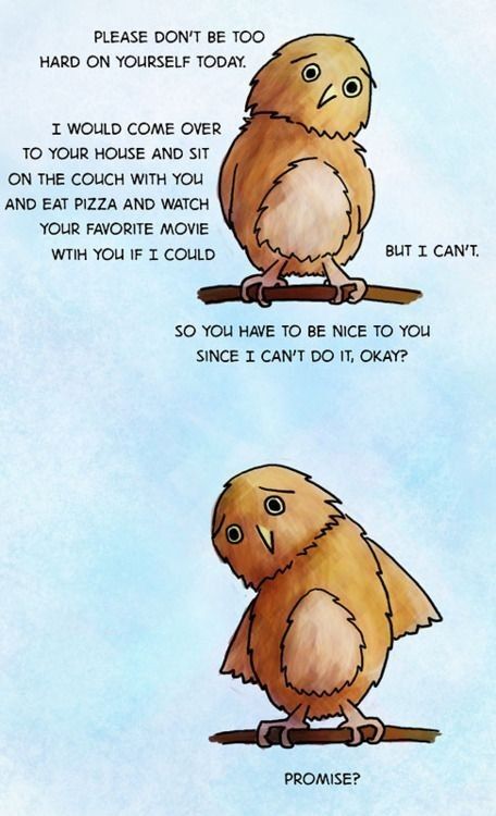 WholesomeMeme's tweet photo. https://t.co/zvPVztE5sn