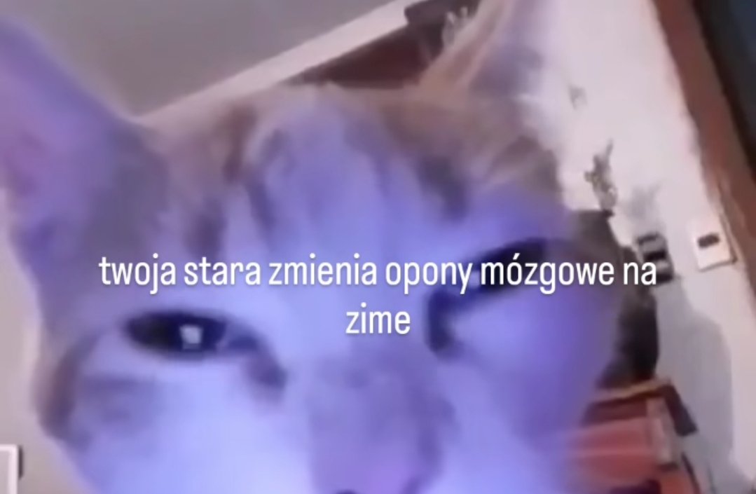Michalina Kobla tweet media