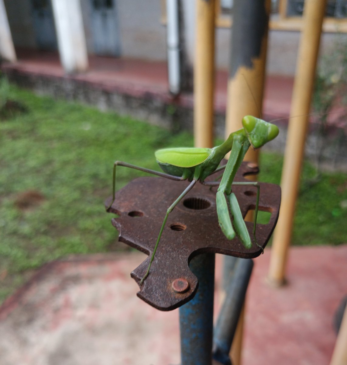 oxygen_yash's tweet image. random clicks

#Photography #mobilephotography