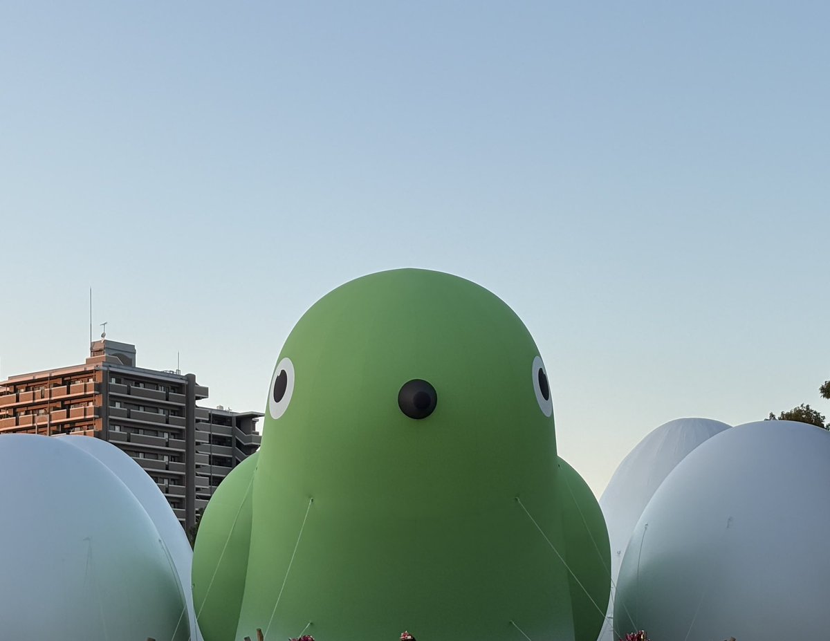 hBMXTSfKy6hmL1b's tweet image. #TOSUNESTIVAL に行って来ました〜！（鳥関係のイベントではありません🤣）　真夏の姿だけど、本日33℃超えでした🥵

鳥の巣可愛いでしょ❣️
私の地方でもこれくらいの規模の鳥のイベントがあるといいのになぁ……。

3枚目は何処に行くのか⁈と言う👀のラッキーさん🤣

#ラッキーさんはお留守番