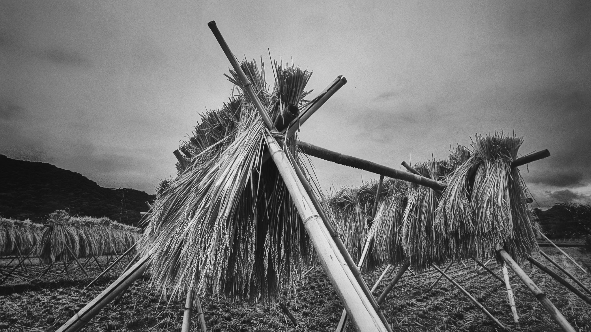 kazu ''Tsurezure Photo Journal'' (@kazu75392264) / X